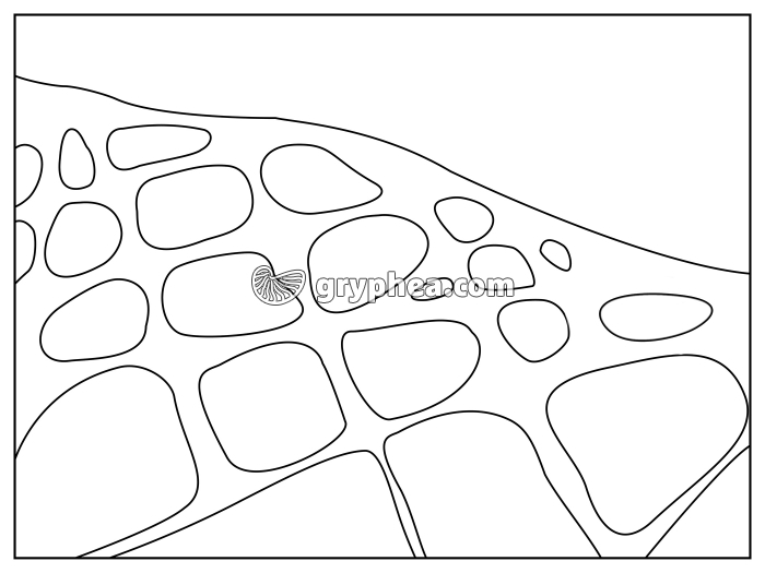 Formation d'un chaos granitique - étape 3 (à colorier et annoter) - gryphea.org